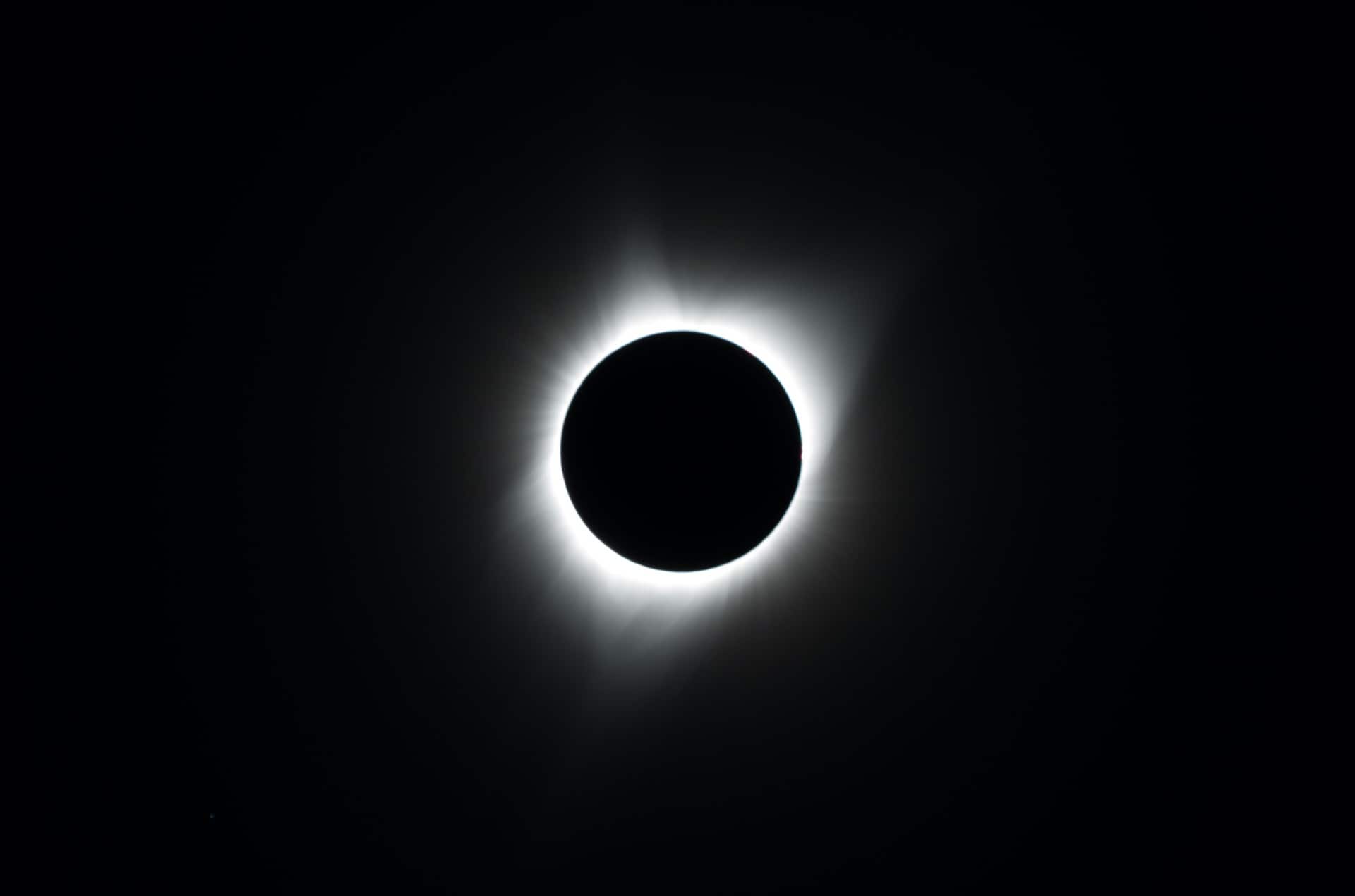 Featured image for “The Eclipse of the Son”